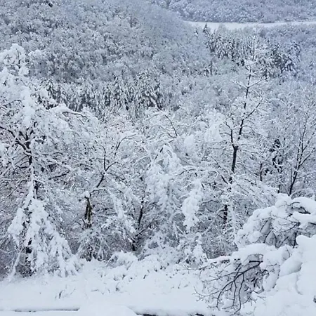 לינה וארוחת בוקר Ferme Bordeneuve