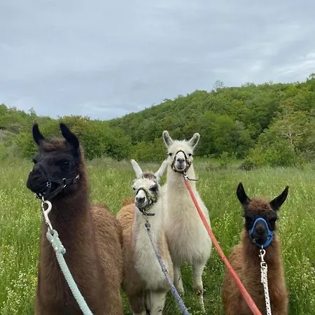 Ferme Bordeneuve לינה וארוחת בוקר Sonnac-sur-l'Hers
