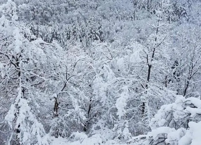 Bed & Breakfast Ferme Bordeneuve